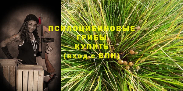 наркотики Белокуриха