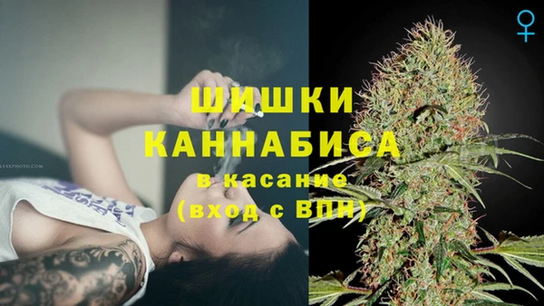 дмт Болхов