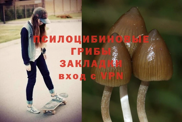 первитин Белоозёрский