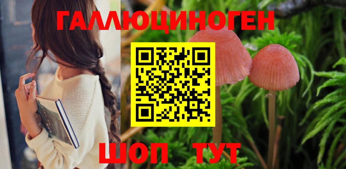 Галлюциногенные грибы Magic Shrooms  Псилоцибиновые грибы Psilocybe  Вход с VPN  Бутурлиновка 